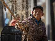 乡村振兴正当时