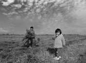 《故土的年轮》