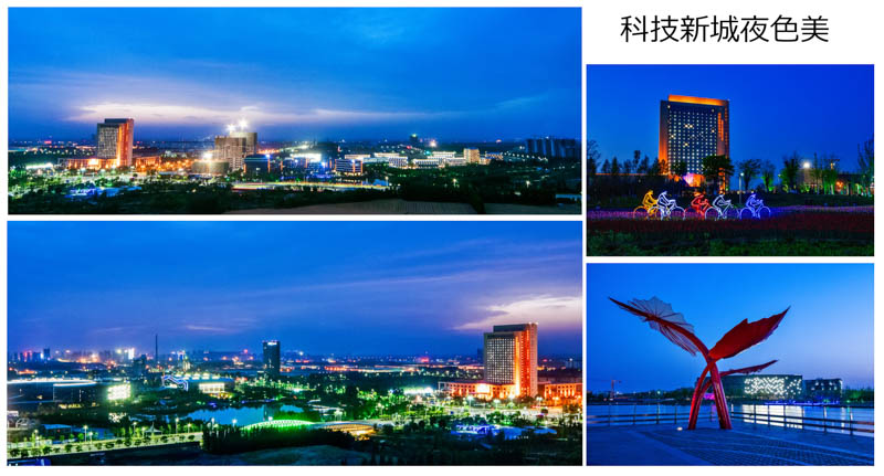 一等奖 科技新城夜色美  张建中