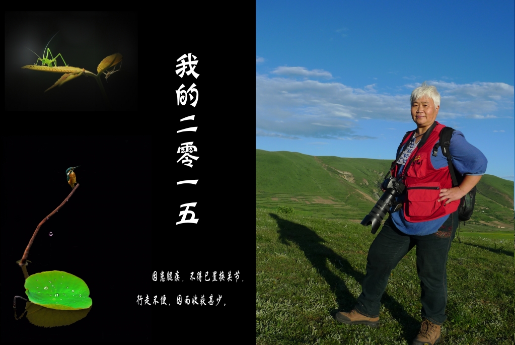 【原创】我的2015·风光景物