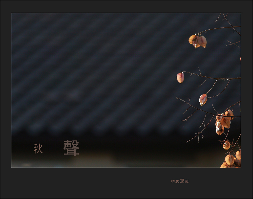 秋声
