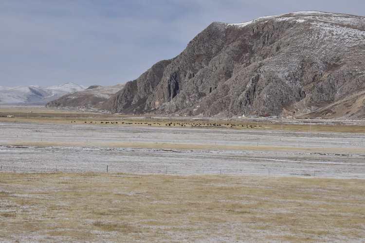 _DSC4592_调整大小.JPG