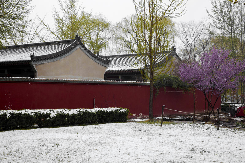 初雪
