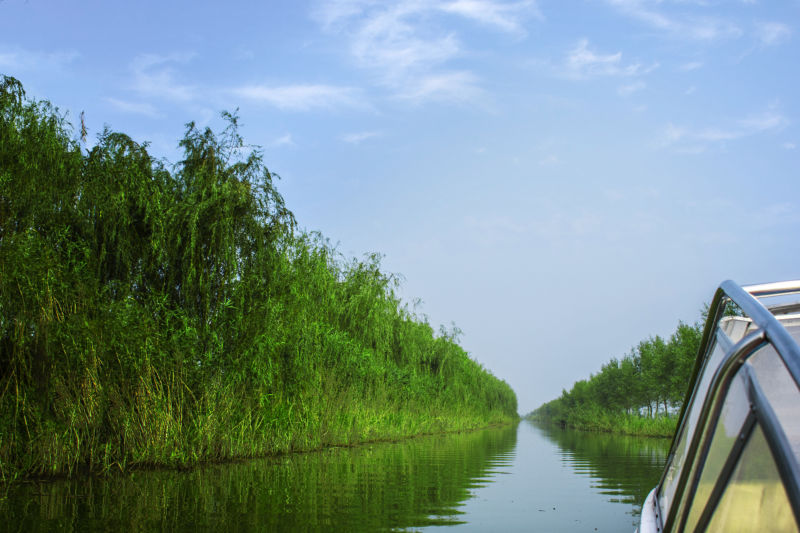 高邮湖芦苇荡湿地公园度假区