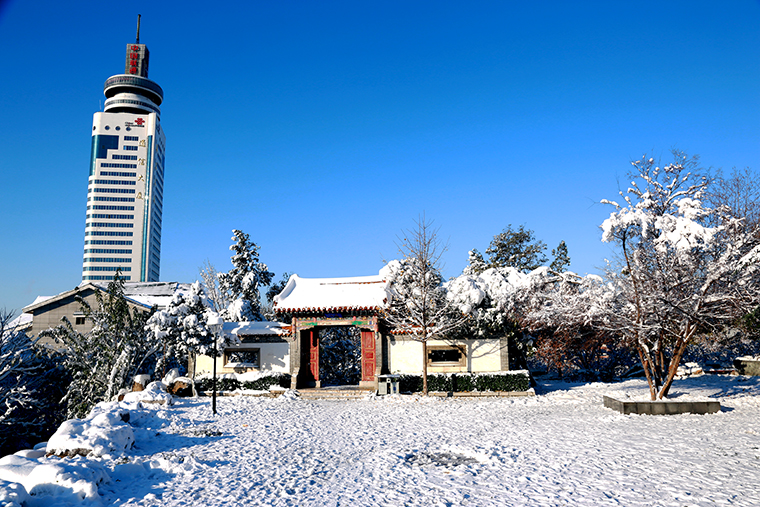 多年未遇的大雪，带来美丽的同时也“停滞”了这座城市