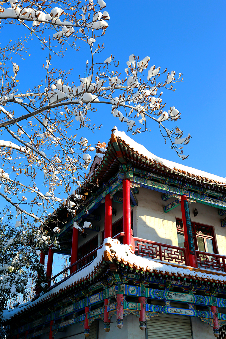 多年未遇的大雪，带来美丽的同时也“停滞”了这座城市