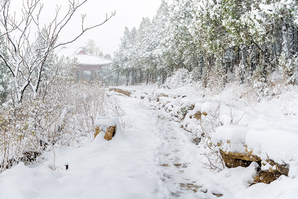 雪落梁山
