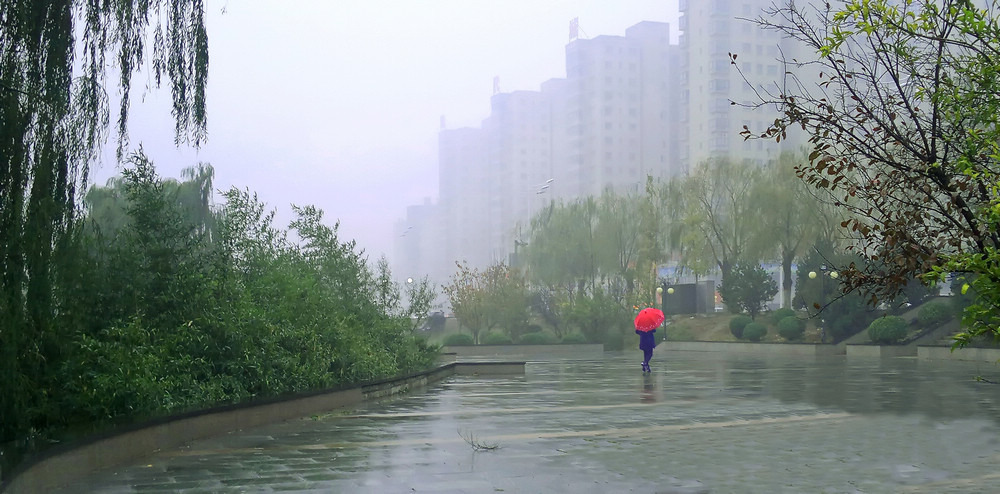 雨中即景