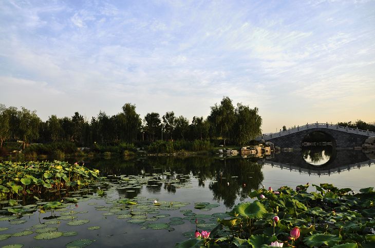 南池秋景随拍