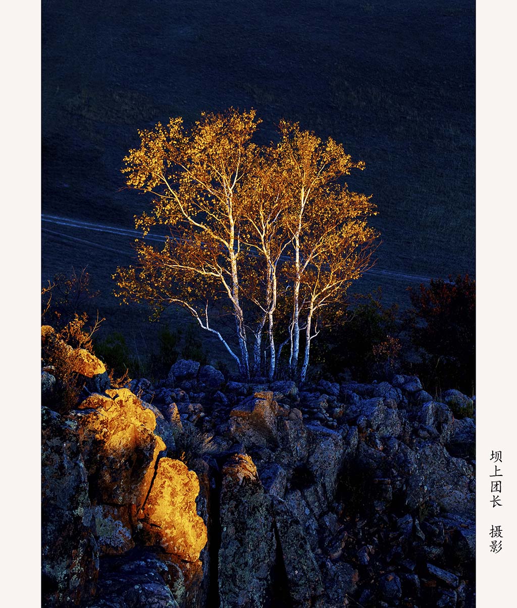 坝上秋景