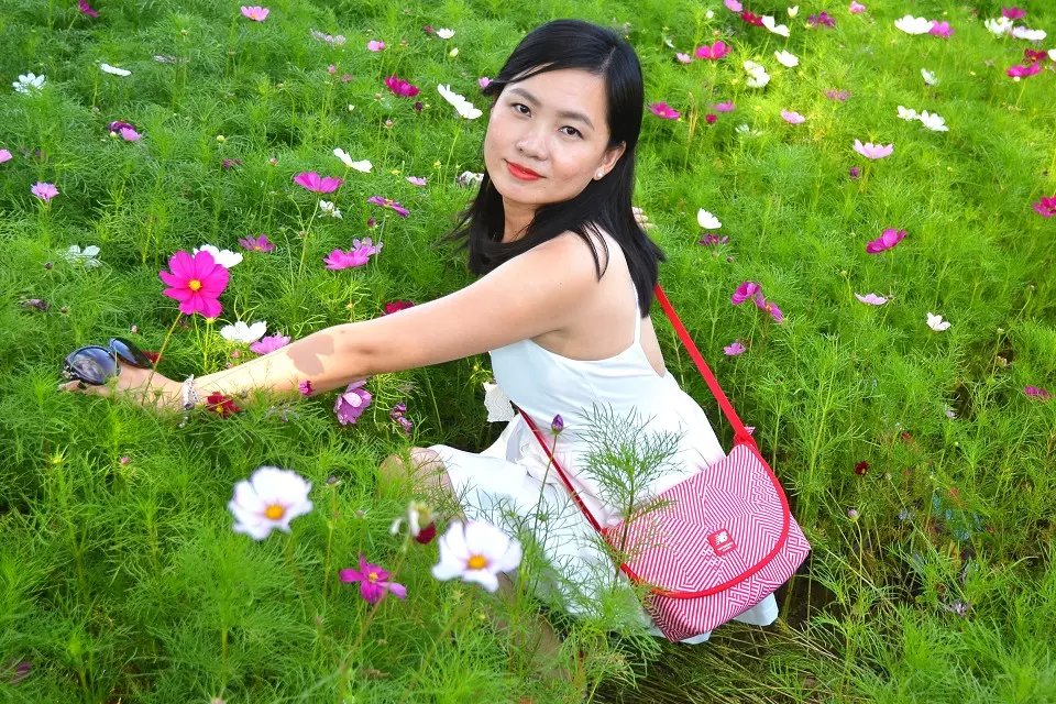 格桑花