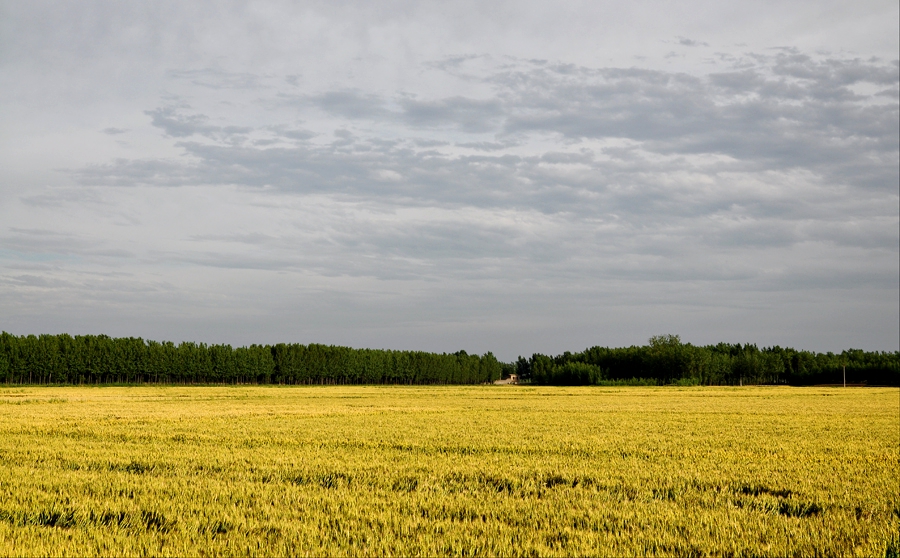 DSC_0869.JPG
