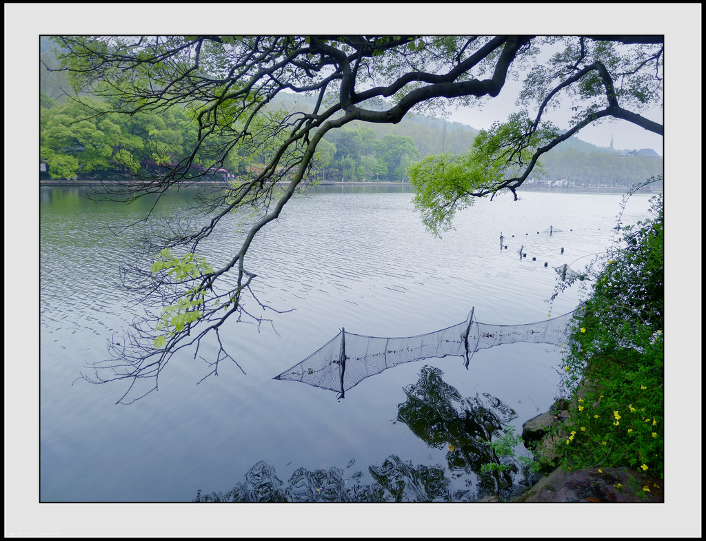 南国烟雨