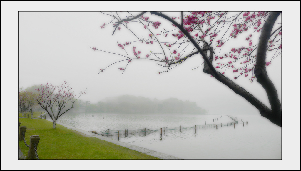 南国烟雨