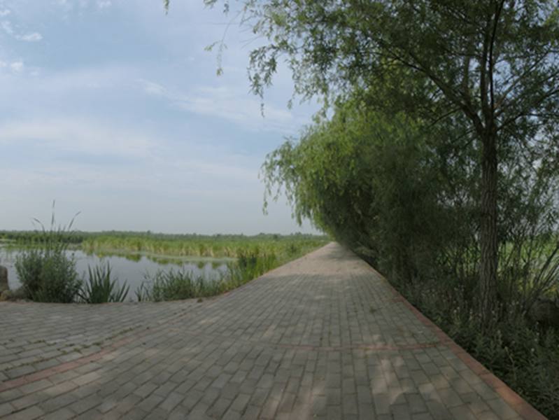 太白湖美景