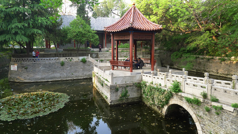 P1220835.jpg