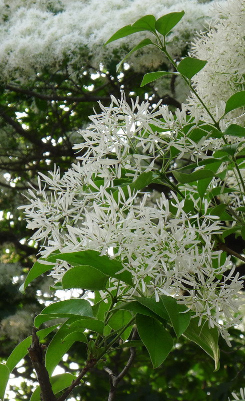 P1220814.jpg