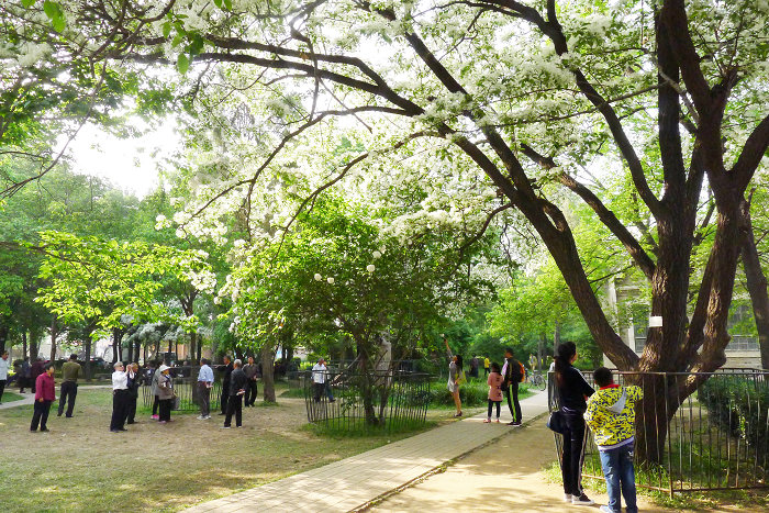P1220753.jpg