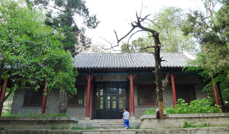 P1220848.jpg
