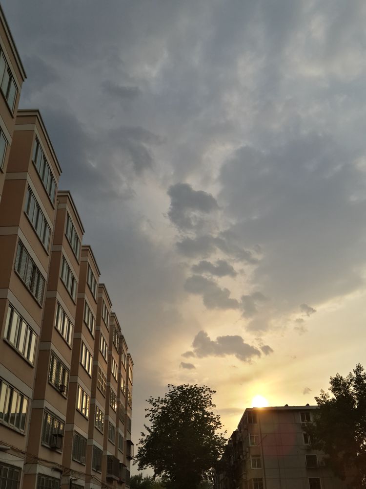 阳光总在风雨后