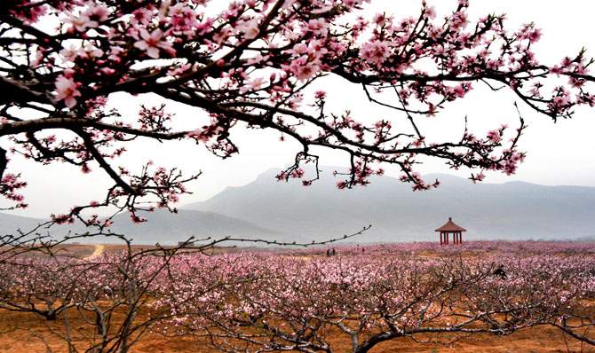 春到山乡