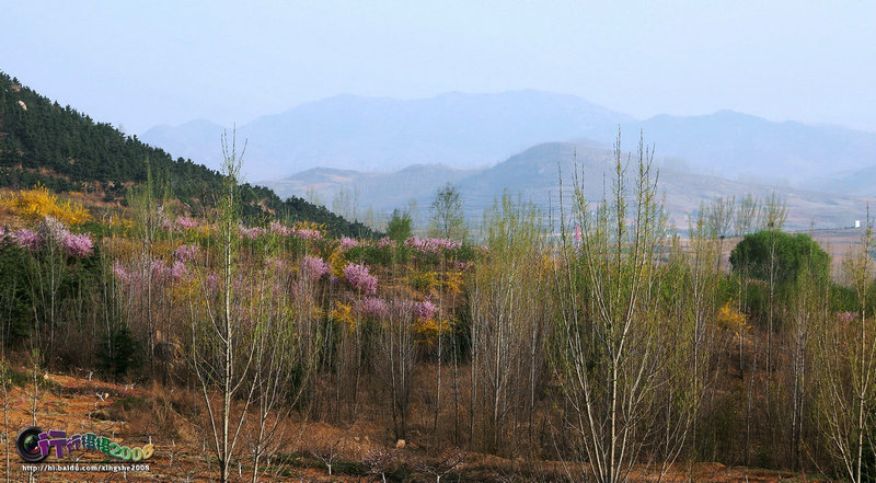 泗水山里风景