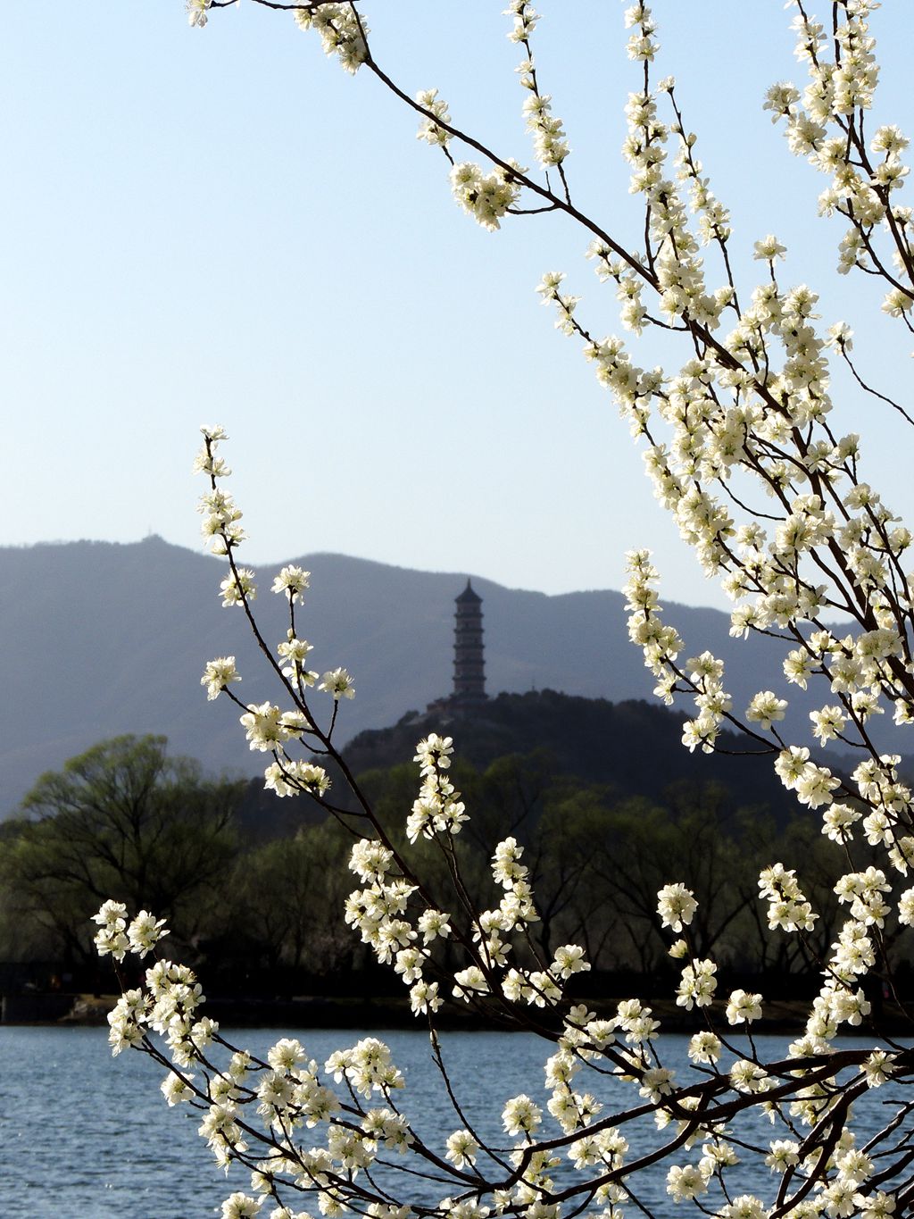 西山春色