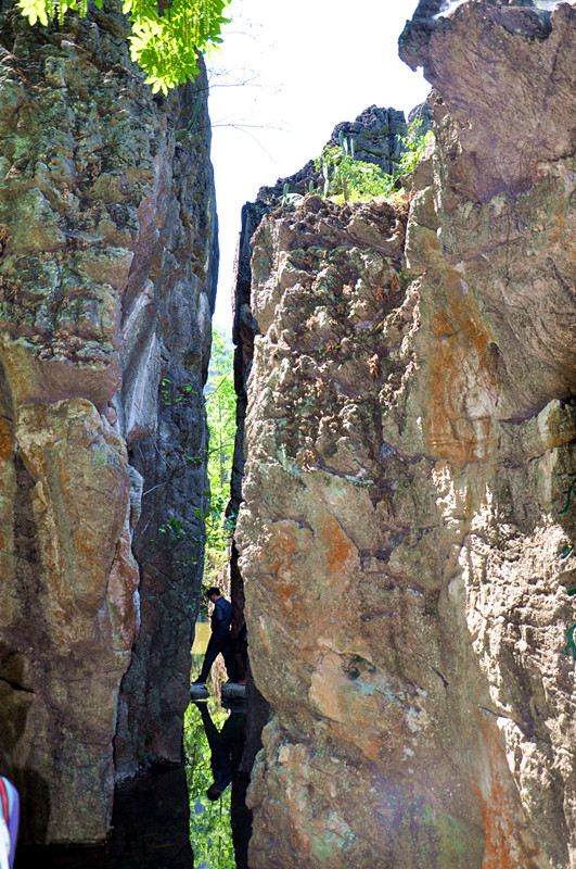 DSC_0117.jpg