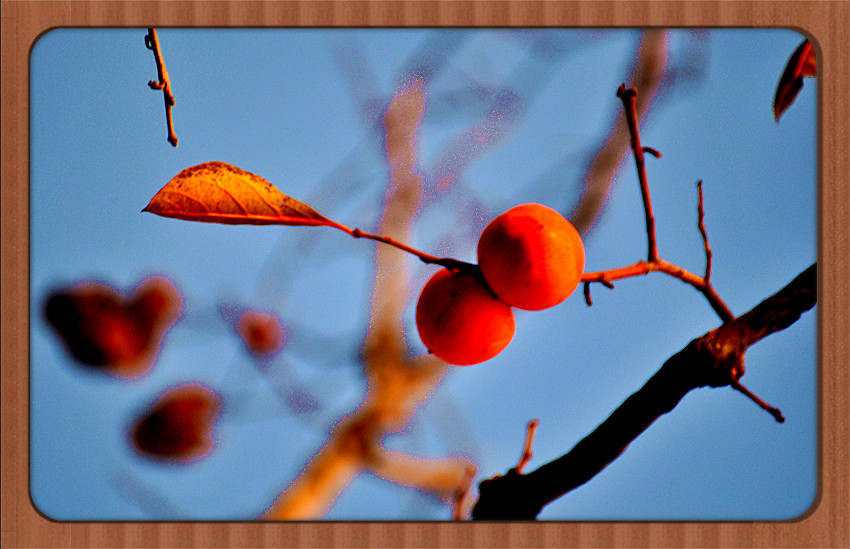DSC_0055.jpg