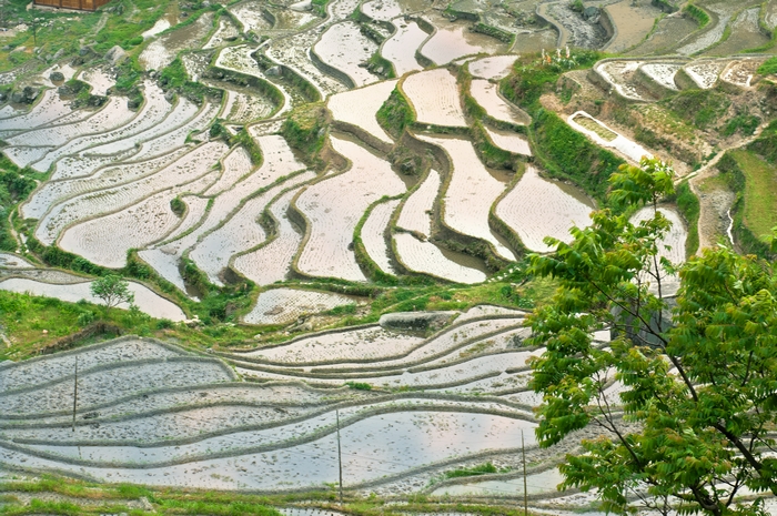 DSC_0229-编辑.jpg