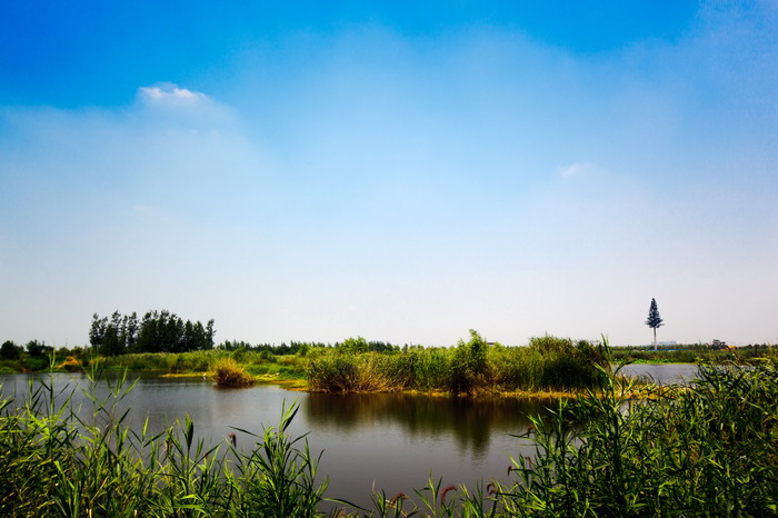 北湖湿地风光
