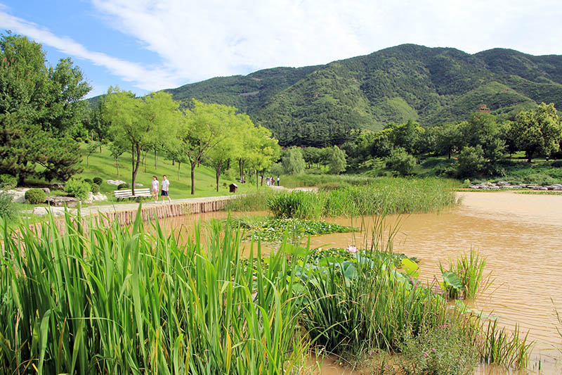 北京植物园美景