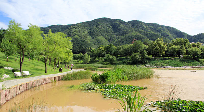 北京植物园美景
