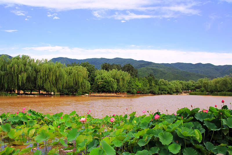 北京植物园美景