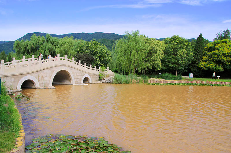 北京植物园美景