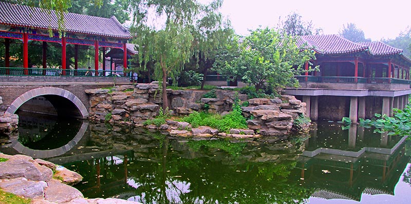 植物园美景