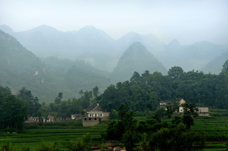 六枝小景