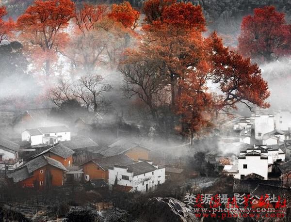 赏秋婺源