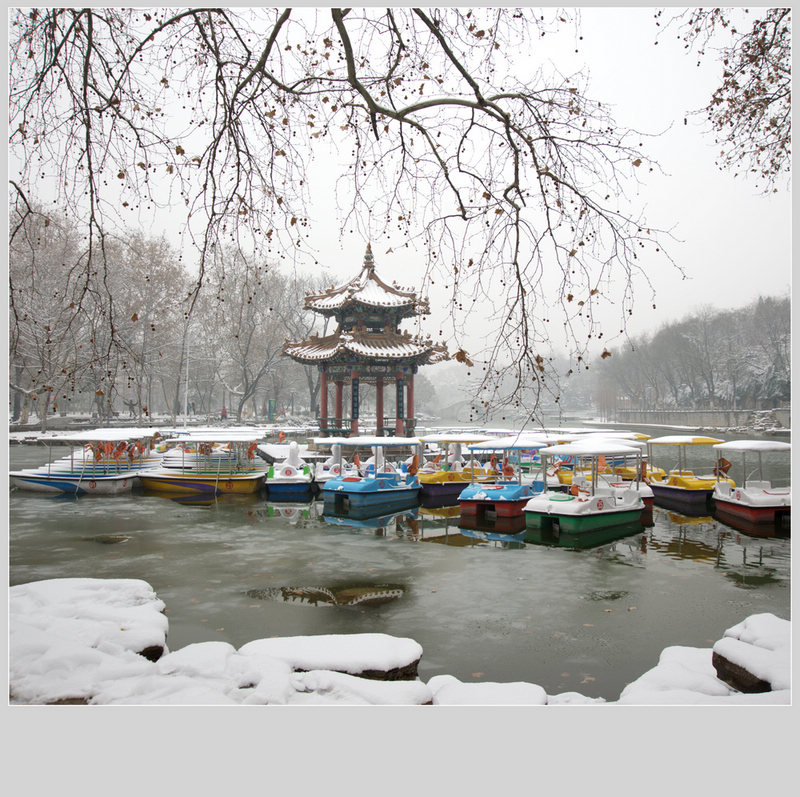 公园雪景