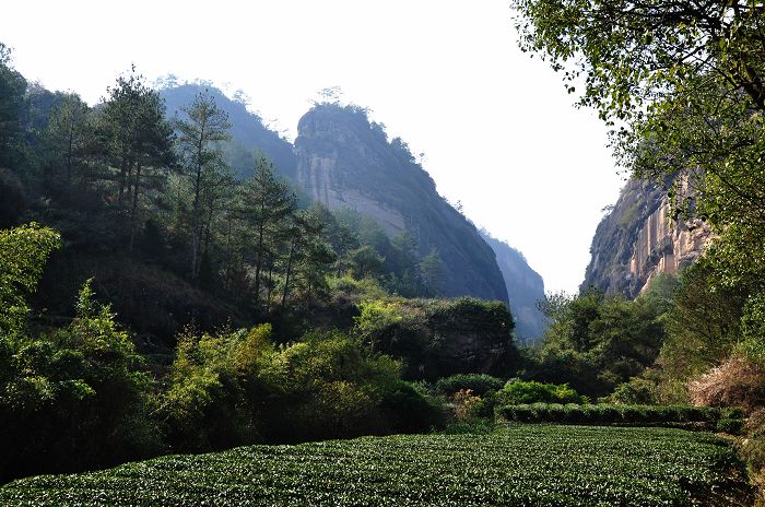 武夷山