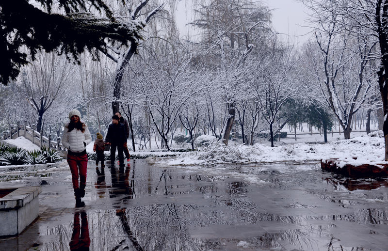 雪中景