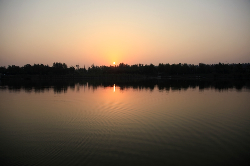 IMG_9356.JPG