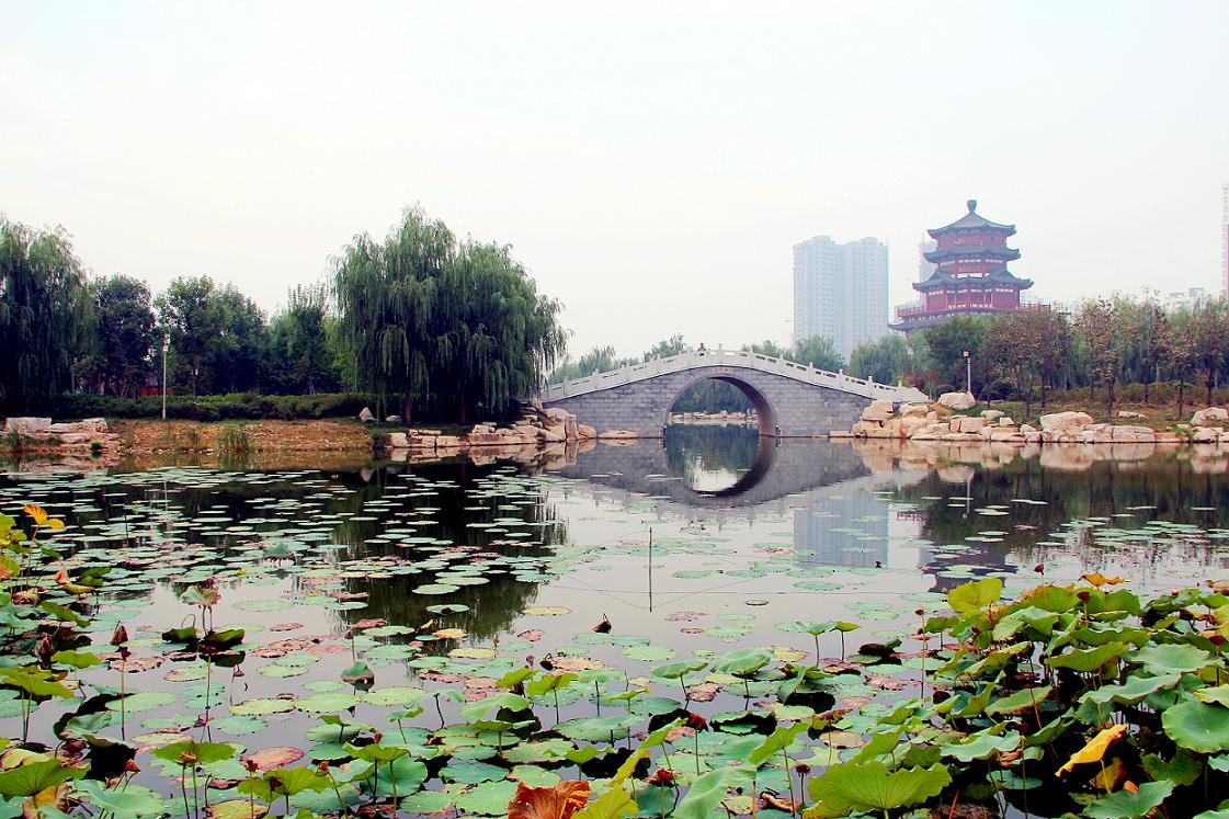 南池3.jpg
