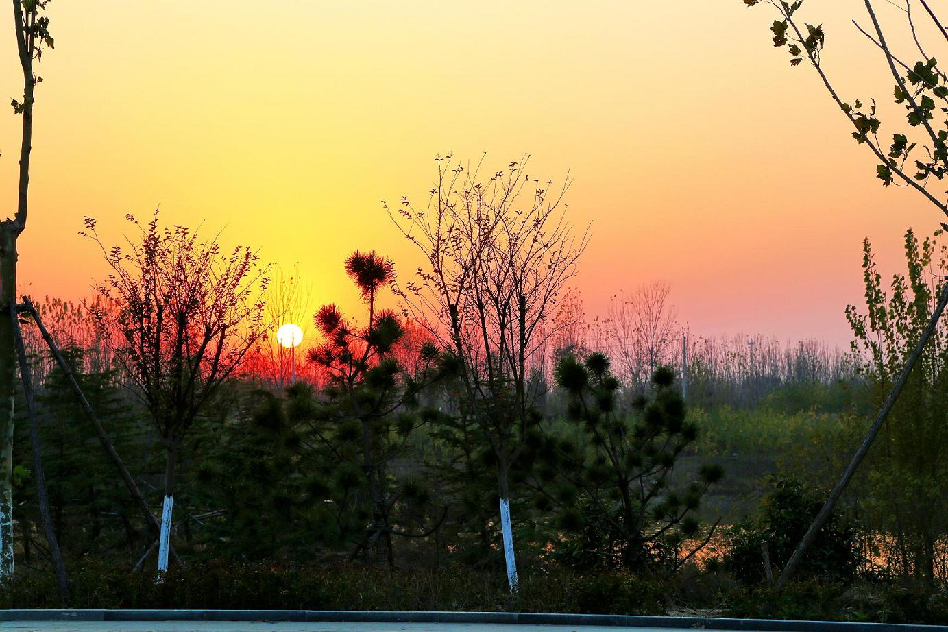 运河夕照4.jpg