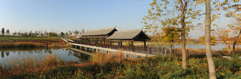 未标题_全景图11.jpg