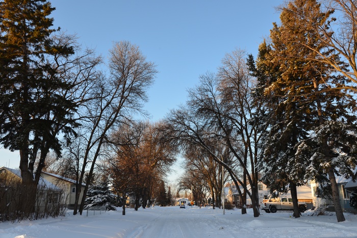 DSC_0486.JPG