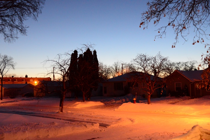 DSC_9780.JPG