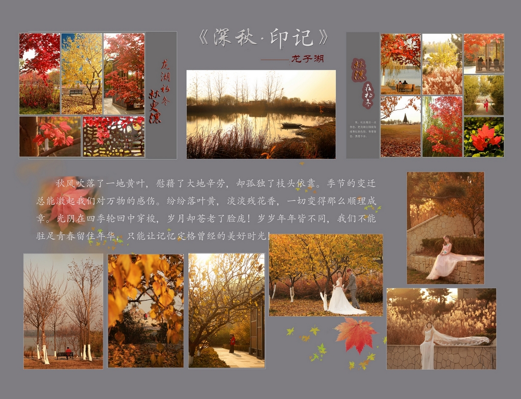 龙子湖组图小11.jpg