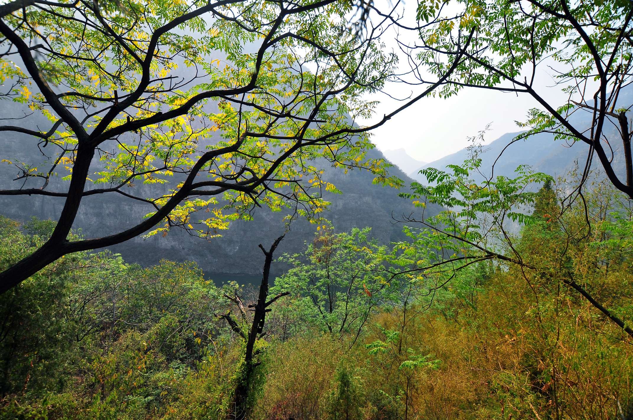 DSC_5988.jpg