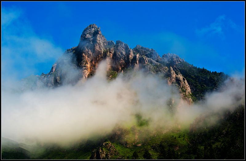 DSC_8931-2_副本-0.jpg